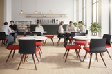Link Cafe Sandalyesi 3